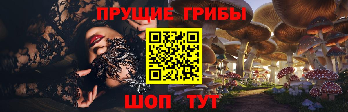 наркота  Вход с VPN  Кандалакша  Псилоцибиновые грибы MAGIC MUSHROOMS 